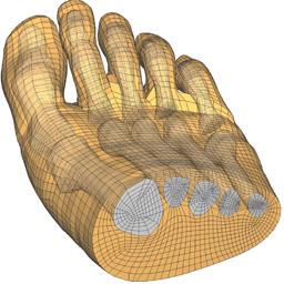 Foot Mesh Icon