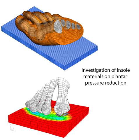 Results of a walking human foot mesh simulation